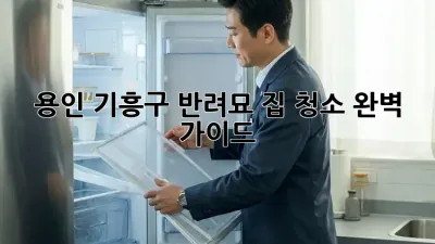 용인 기흥구 반려묘 집 청소 완벽 가이드