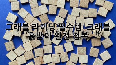 그래블 라이딩 필수템 🛡️ 그래블 흙받이 완전 정복!