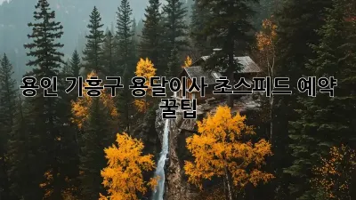 용인 기흥구 용달이사, 초스피드 예약 꿀팁!
